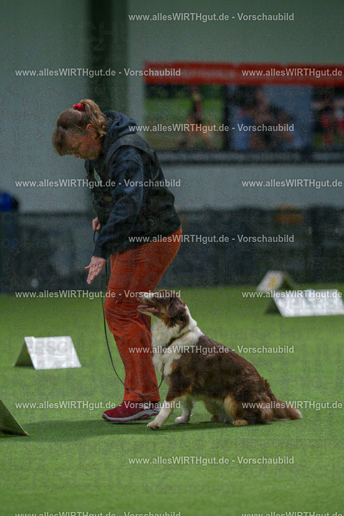 7R508232 | Professionelle Tierfotografie in Mönchengladbach von Daniel Wirth (allesWIRTHgut). Liebevolle & natürliche Bilder von Hunden & Katzen für unvergessliche Erinnerungen.