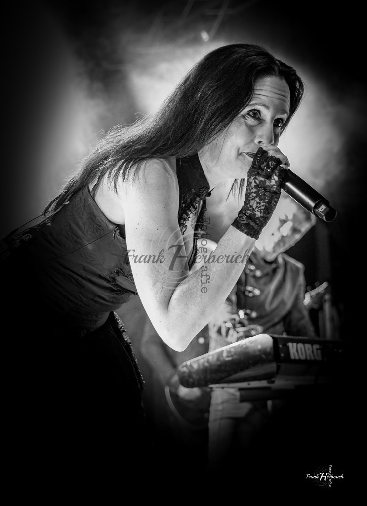 A Night In Temptation 07.02.2026 Geiselwind  | Frank Herberich Fotografie, Frank Herberich, Fotografie, Hochzeit, Portrait, St. Peter Ording, Ording, Westerhever, Nordsee, Frank Fotografie, Hardheim,  Odenwald,Walldürn, Band,Eventfotografie - Realized with Pictrs.com