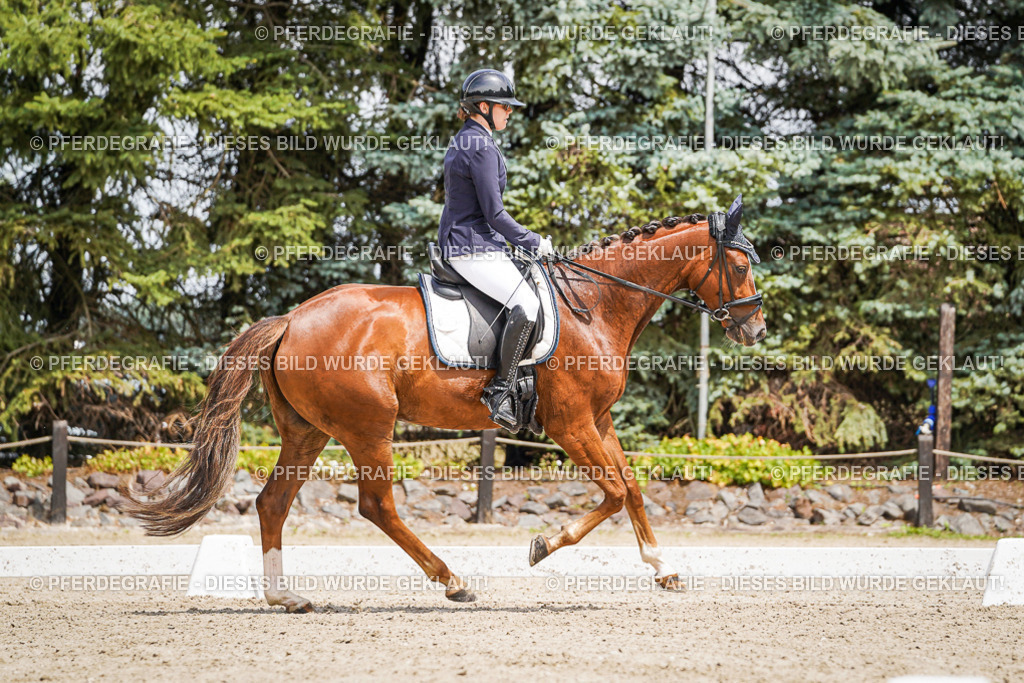 DSC02124 | Pferdegrafie