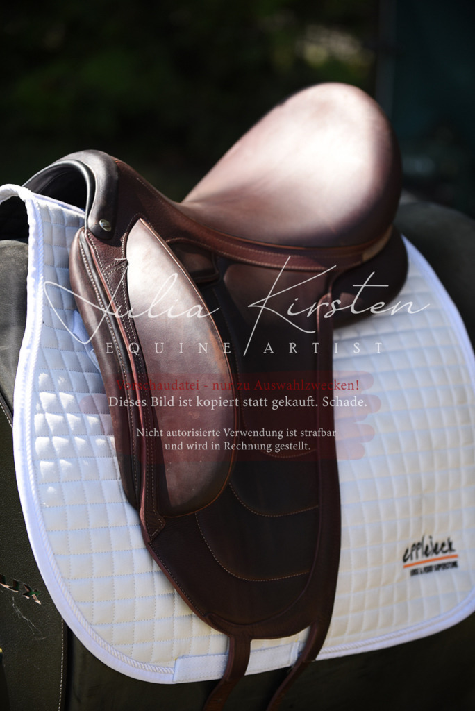 DSC_8886 | Pferde- und Turnierfotografie in Westsachsen. Pferdeportraits, Auftragszeichnungen und intuitive Kunst.
