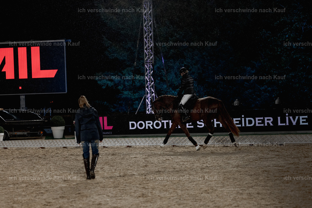 FHClassics-36 | working equitationturnier fotograf videograf stoibphotography marixx film working equitation deutschland reitsport turnierfotografie eventfotografie equestrian events