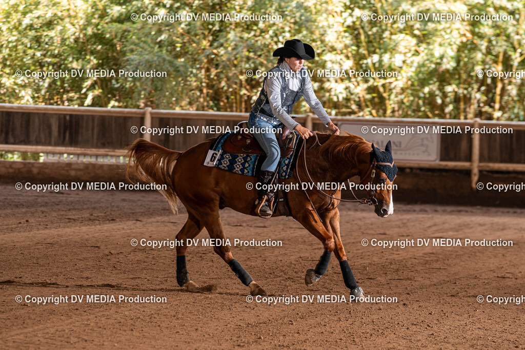 Erbach Tag 2-771 | dv-media-shop - Realisiert mit Pictrs.com