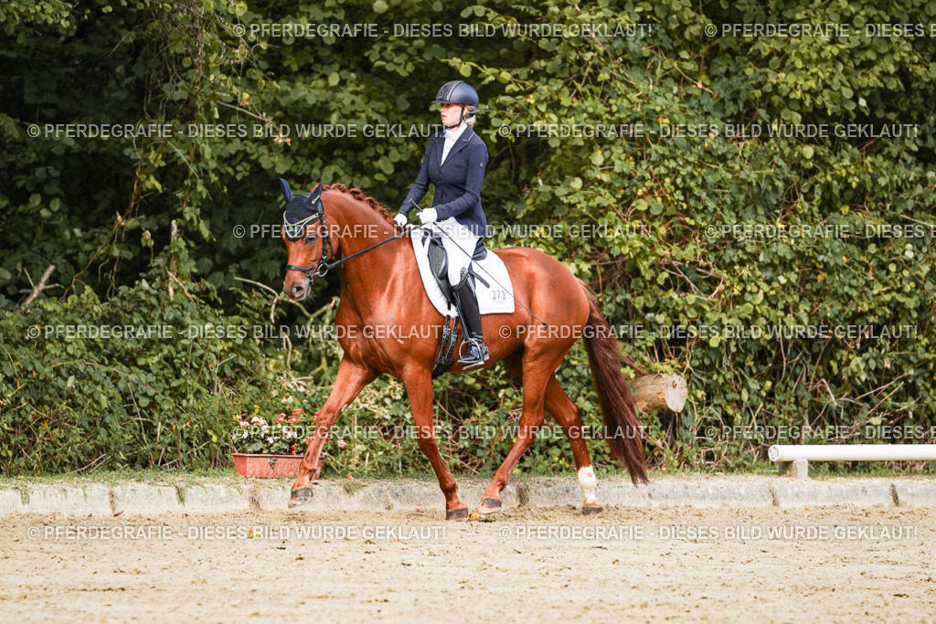 DSC02627 | Pferdegrafie