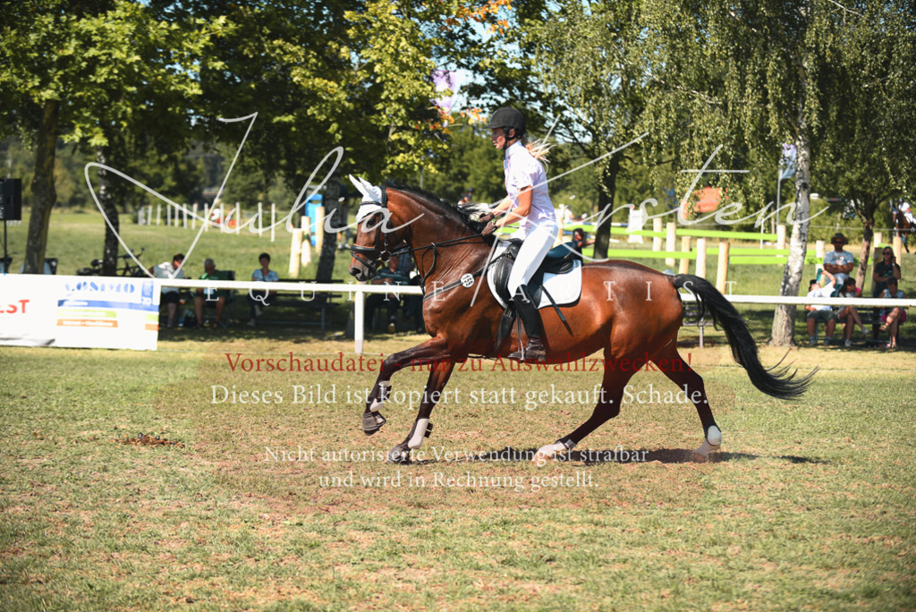 DSC_7166 | Pferde- und Turnierfotografie in Westsachsen. Pferdeportraits, Auftragszeichnungen und intuitive Kunst.