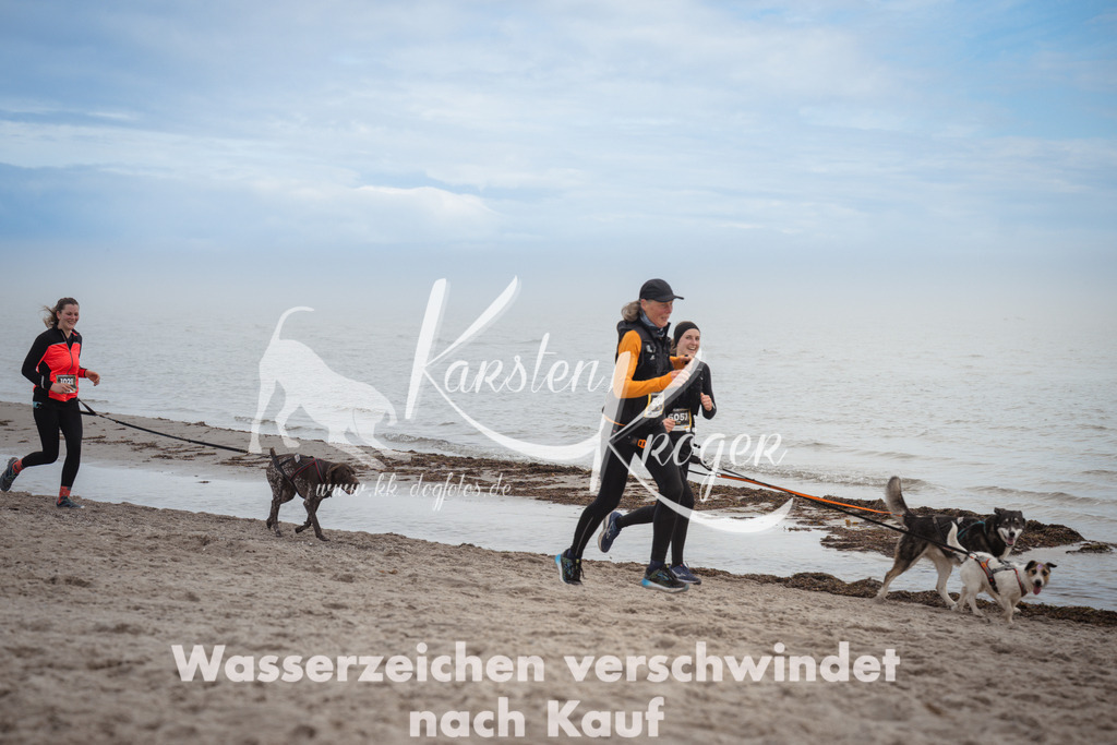 1148_ZZ91373 | kk-dogfotos