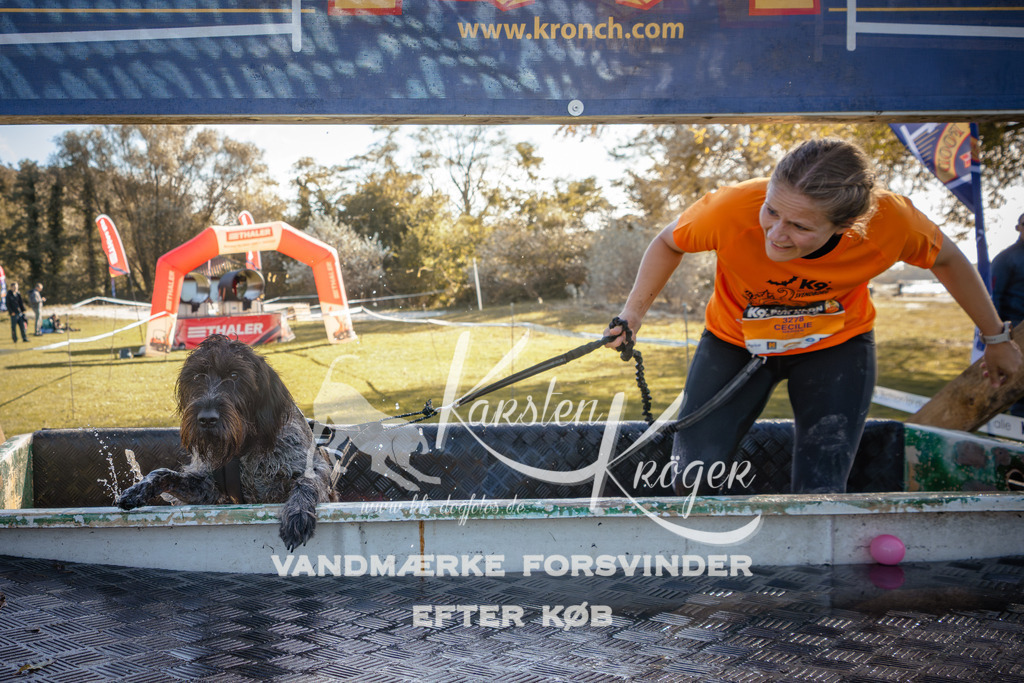 1219_ZZ95427 | kk-dogfotos