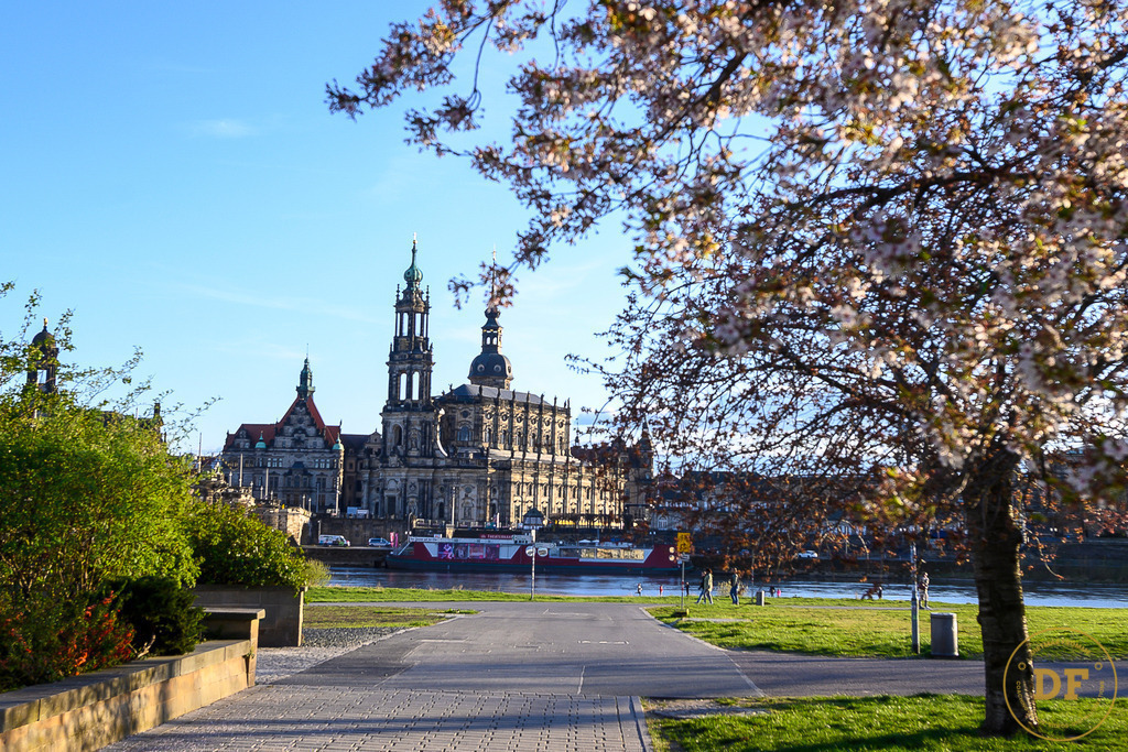 9486-DOM-DD-Blüten-View. | Geschenke, Wandbilder und Accessoires mit Motiven aus Dresden und anderen schönen Orten zur Verschönerung Deines zu Hauses und zum verschenken gewünscht? Wähle Deine Lieblingsbild auf dem Produkt Deiner Wahl. 