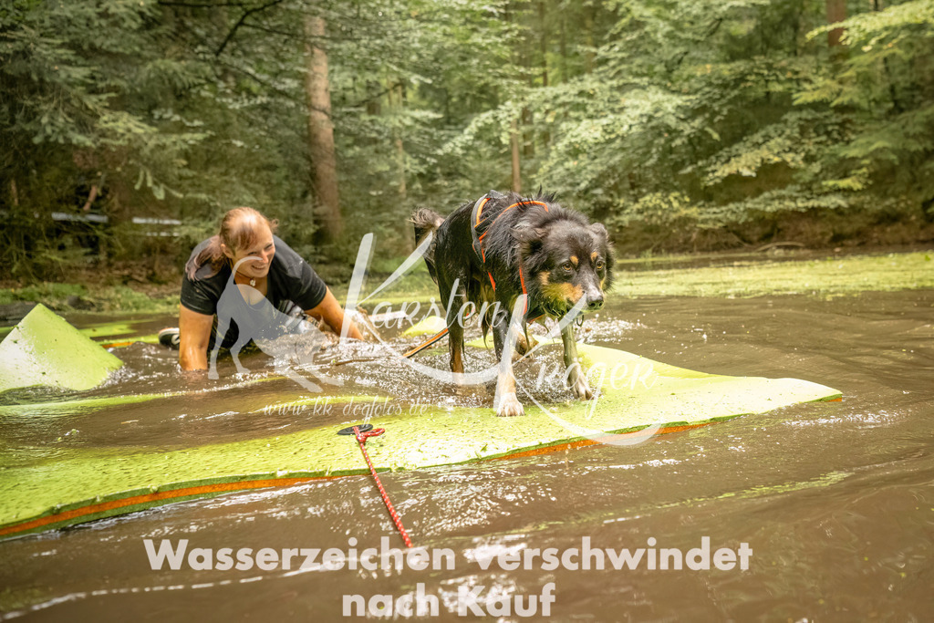 1422_ZZ92082-Bearbeitet | kk-dogfotos