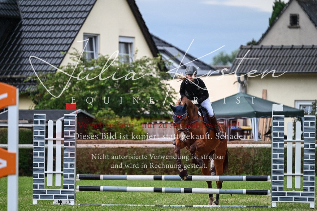 DSC_8319 | Pferde- und Turnierfotografie in Westsachsen. Pferdeportraits, Auftragszeichnungen und intuitive Kunst.