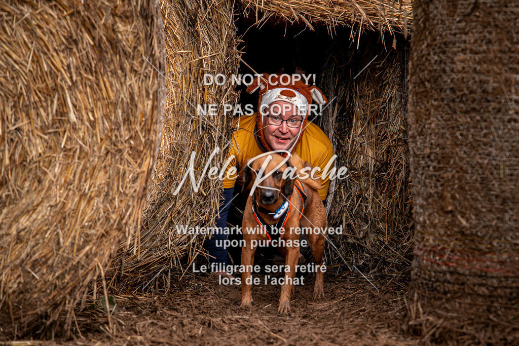 nelerasche_Hunsrück_So09-11_386 | nelerasche
