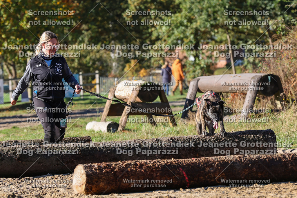 Dog Paparazzi - Strongdog 10-25-1690 | Dog Paparazzi Jeanette Grottendiek Fotografie & Videografie - Realisiert mit Pictrs.com