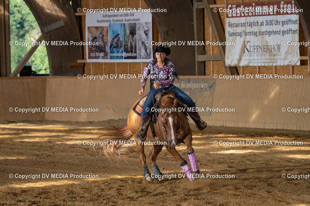 DSC00521 | dv-media-shop - Realisiert mit Pictrs.com