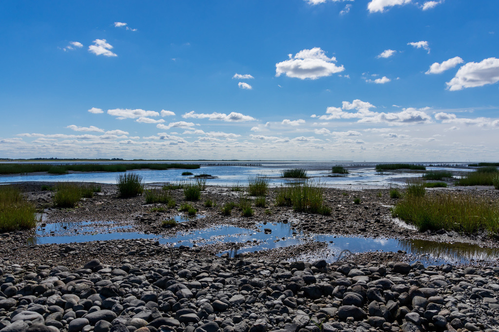 IMGP0433 | Nordseeinsel Mandö - Realisiert mit Pictrs.com