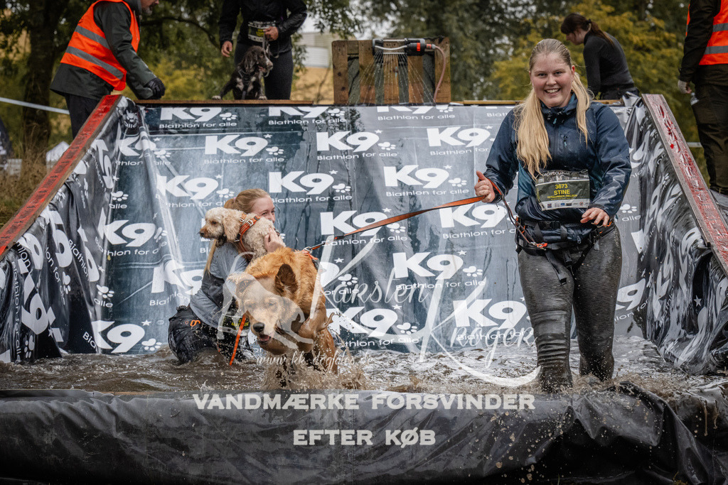 1203_ZZ94173 | kk-dogfotos