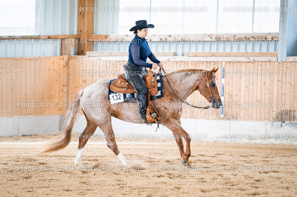 DSC02001 | Pferdegrafie