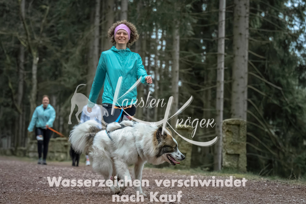 0825_ZZ91296 | kk-dogfotos