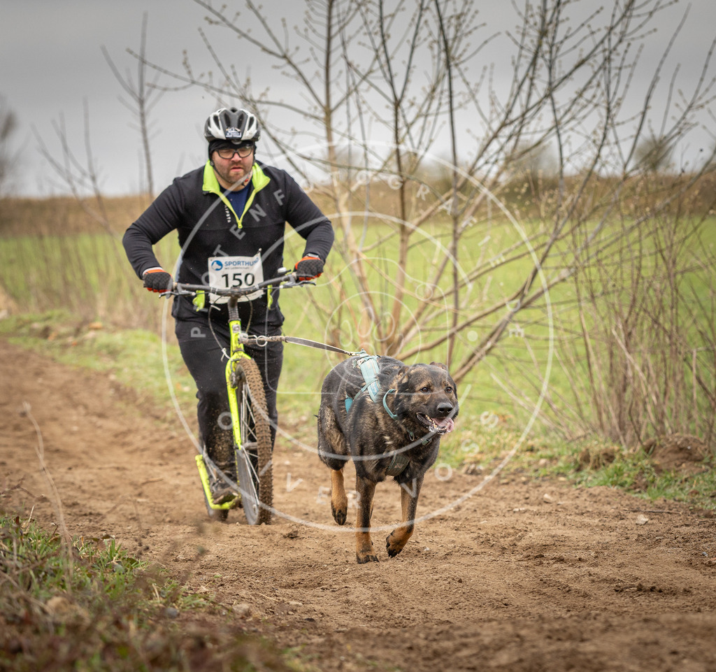 DV3A1528 | Hundefotografie, Tierfotograf, Pfotenfotografie, Fotoshooting Hund, Hunde Portrait, Hundesport, Hundeportraits, Heideshooting, Hunde, Sportfotograf, Hundefotograf, Turnierhundsport, THS,  - Realisiert mit Pictrs.com