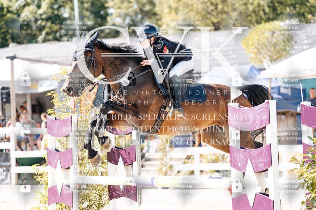 CK908539 | Turnierfotografie Pferdefotografie Trier Rheinland-Pfalz Pferdesport Reitsport Tierfotografie Sportfotografie Pferdevideo Pferdevideografie Equestrianvideography equestrianphotography  - Realisiert mit Pictrs.com