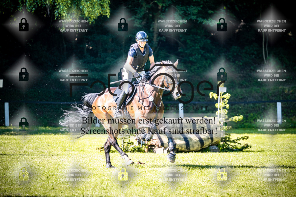 2026-05 - Melle Oldendorf-3-0069 | Entdecke hochwertige Reitturnierfotos von Foto Oger. Professionell, emotional und authentisch – jetzt Lieblingsmomente im Shop bestellen.Deutschlandweite Turnierfotografie. - Realisiert mit Pictrs.com