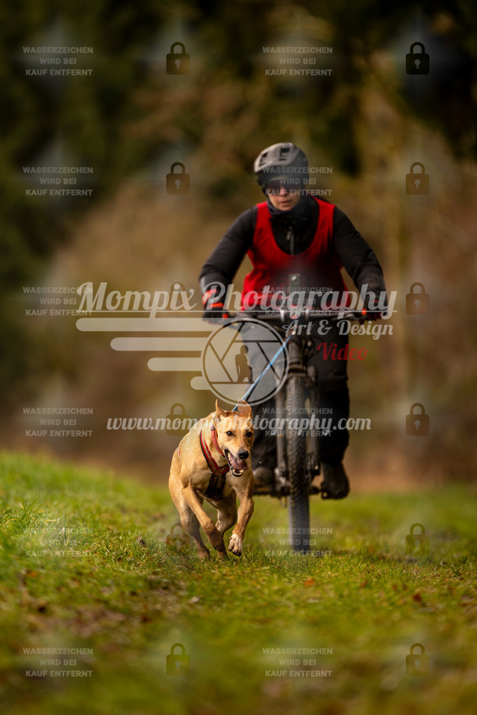 MompixPhotography_2SSTSSBW_2025_SO_Bike-92 | PayLife