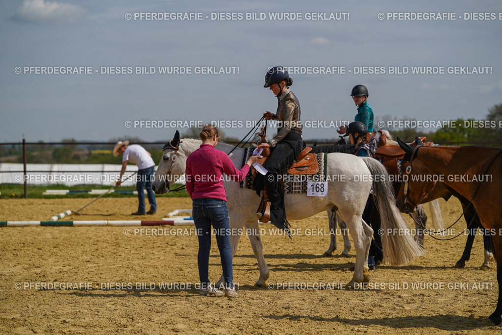 DSC04788 | Pferdegrafie