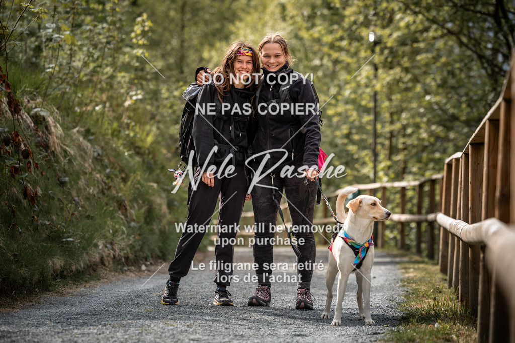 nelerasche_SaAbends_97 | nelerasche