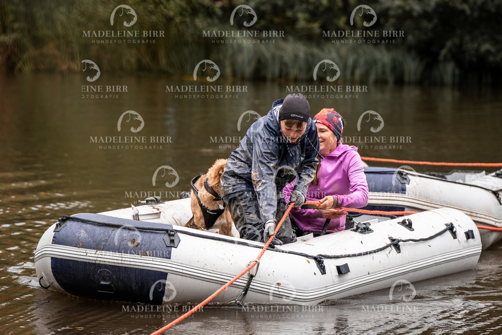 madeleinebirr-fotografie2025.campcanis.11-12Uhr-22 | hundefotografie-birr