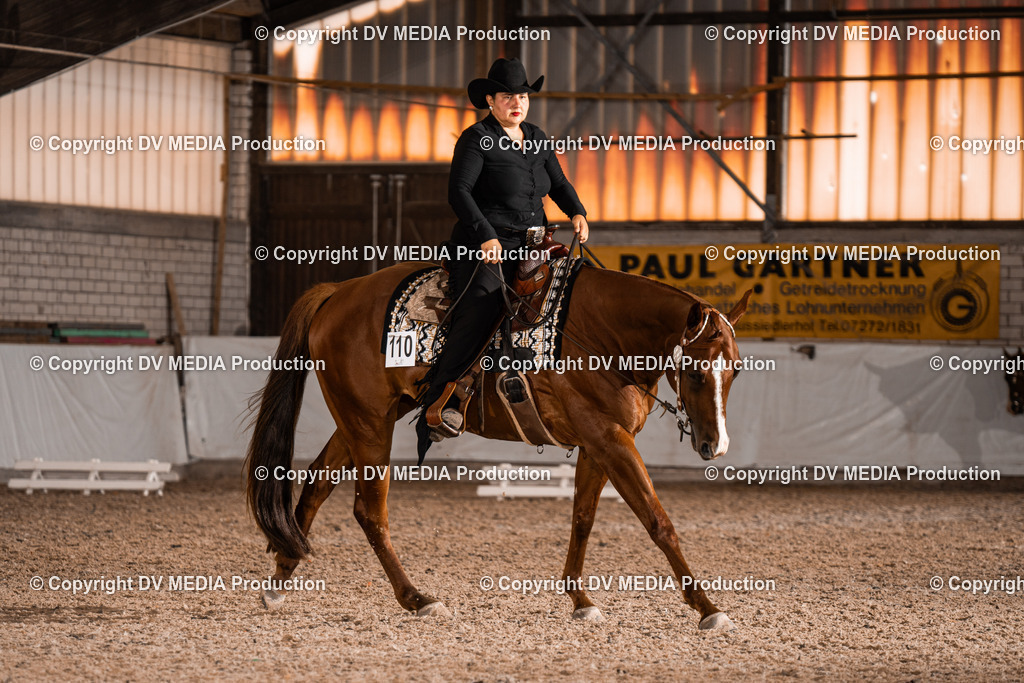 ZH100106 | dv-media-shop - Realisiert mit Pictrs.com