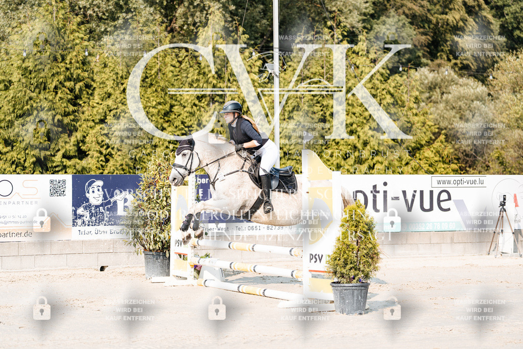 CK902637 | Turnierfotografie Pferdefotografie Trier Rheinland-Pfalz Pferdesport Reitsport Tierfotografie Sportfotografie Pferdevideo Pferdevideografie Equestrianvideography equestrianphotography  - Realisiert mit Pictrs.com