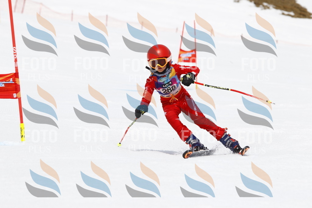 _U3G7222 | holidayphoto