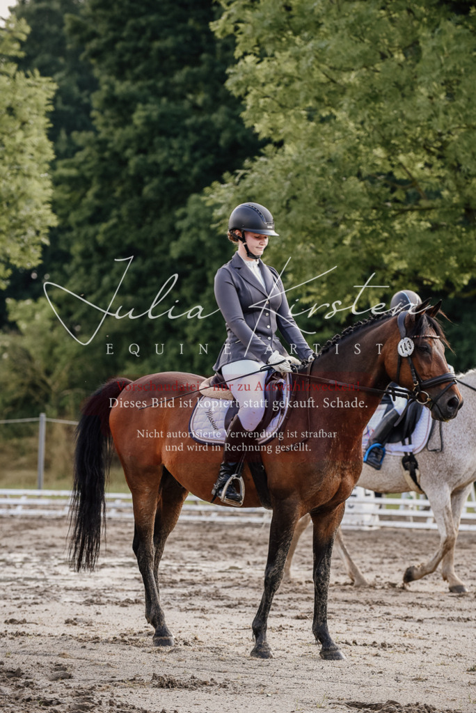 DSC_8401 | Pferde- und Turnierfotografie in Westsachsen. Pferdeportraits, Auftragszeichnungen und intuitive Kunst.
