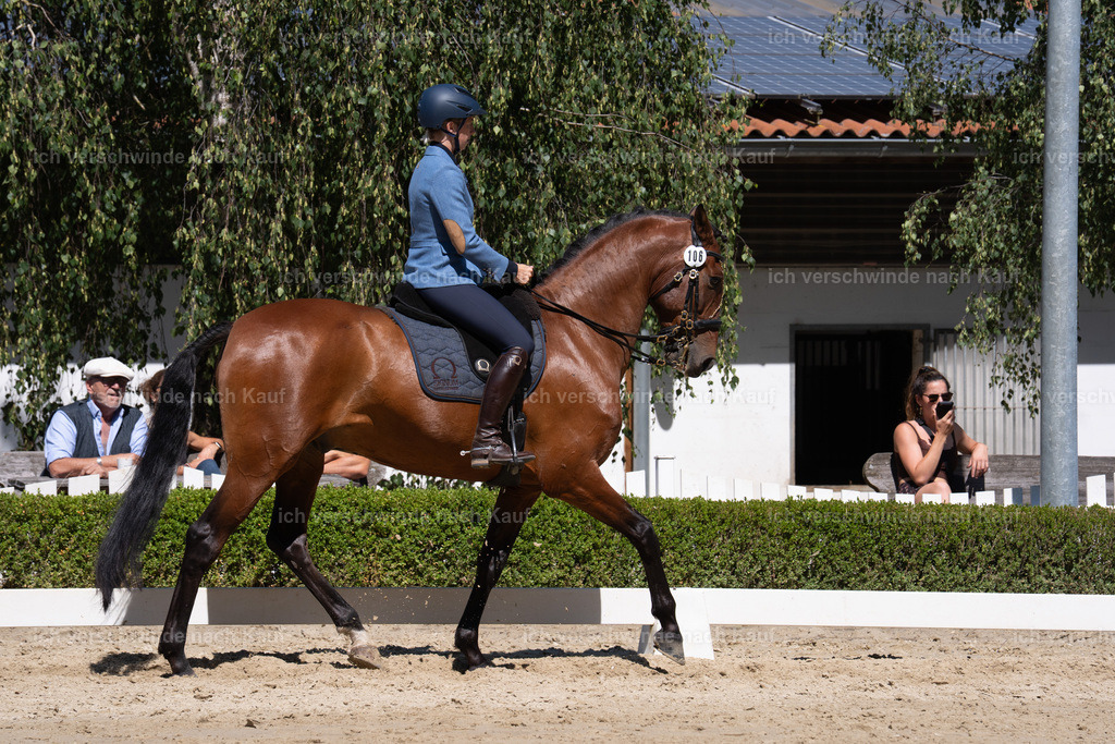 WL_DR_106_sinafilmart_IN08006 | working equitationturnier fotograf videograf stoibphotography marixx film working equitation deutschland reitsport turnierfotografie eventfotografie equestrian events