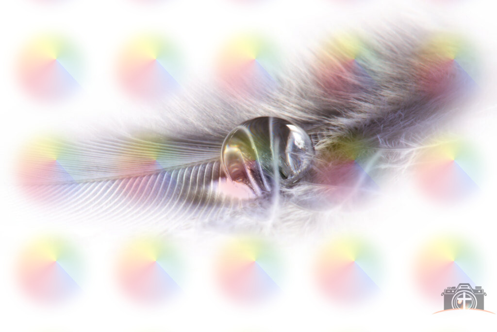 WT-Feder-0002 | Entdecken Sie eine vielfältige Auswahl individueller Fotos zum Kauf auf picturalux.de. Finden Sie hochwertige Bilder für Ihre Projekte, die Ihre Botschaft perfekt unterstreichen. Stöbern Sie jetzt und verleihen Sie Ihren Inhalten das gewisse Etwas! - Realisiert mit Pictrs.com