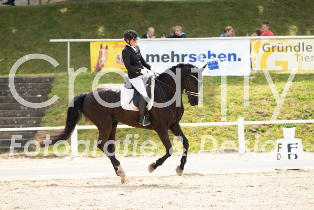 IMG_0625 | Creatify Fotografie