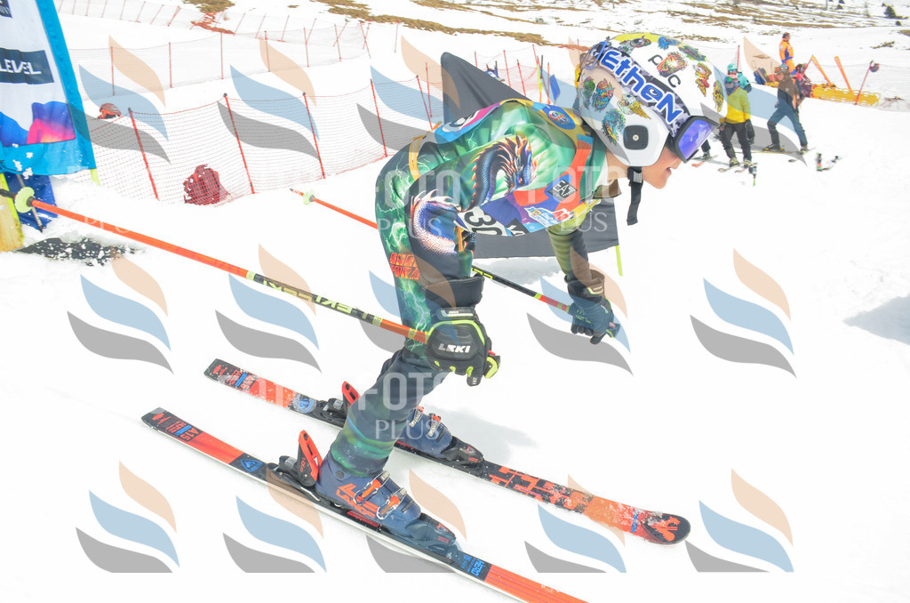 _ELE8315 | holidayphoto