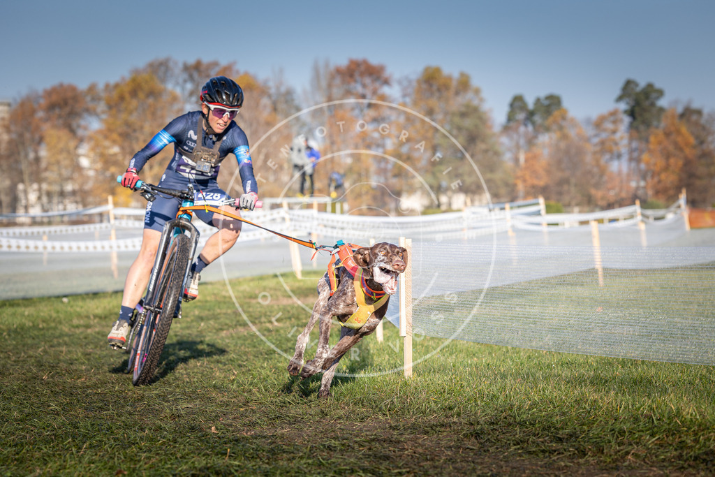 CaniXpix_0L8A4244 | Hundefotografie, Tierfotograf, Pfotenfotografie, Fotoshooting Hund, Hunde Portrait, Hundesport, Hundeportraits, Heideshooting, Hunde, Sportfotograf, Hundefotograf, Turnierhundsport, THS,  - Realisiert mit Pictrs.com