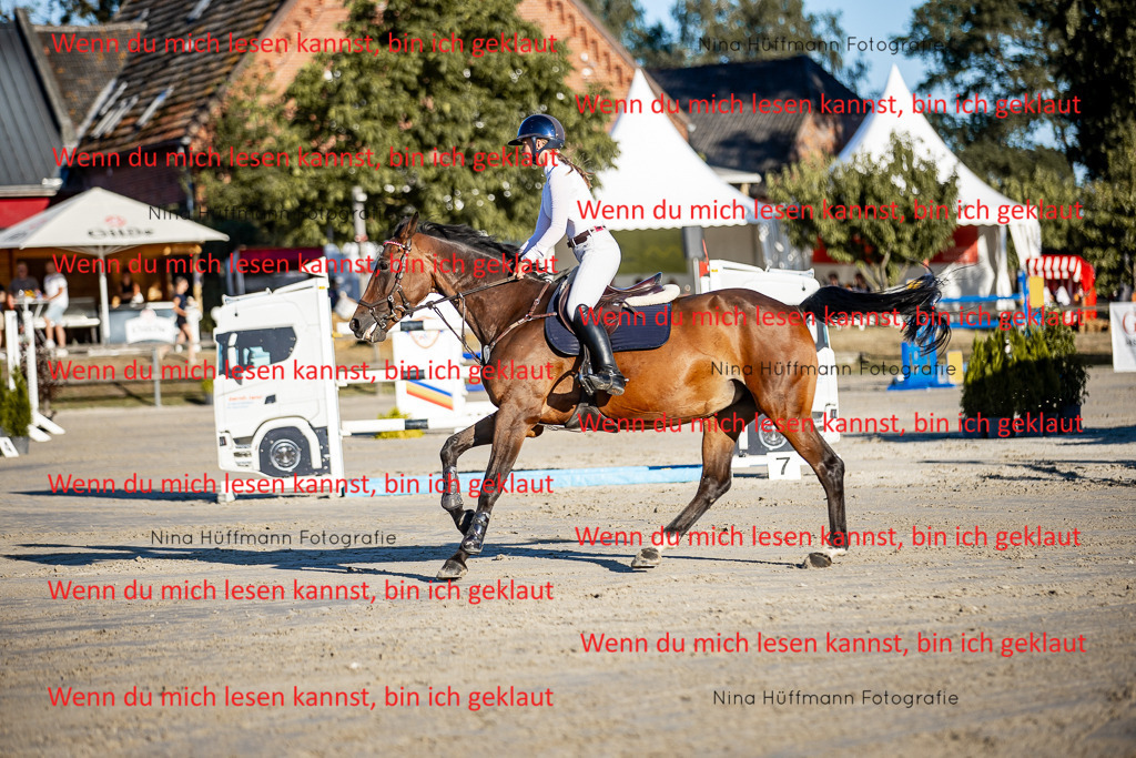 BK1A8403 | Turnierbilder Turnierfotos Nina Hüffmann Turnierfotografie Pferdefotografie Tierzeichnung Haustierzeichnung Pferdezeichnung Hundezeichnung Videograf  - Realisiert mit Pictrs.com