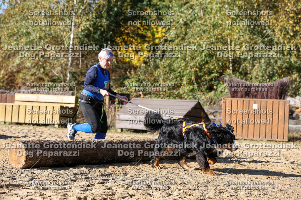 Dog Paparazzi - Strongdog 10-25-2908 | Dog Paparazzi Jeanette Grottendiek Fotografie & Videografie - Realisiert mit Pictrs.com