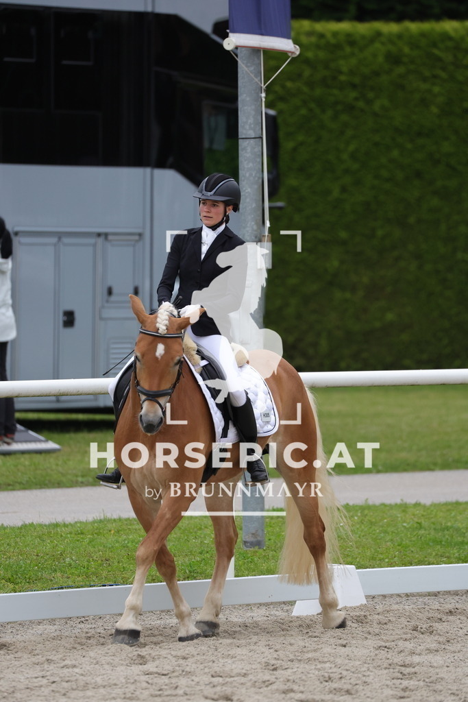 0P6A7091 | Willkommen bei Brunnmayr - Design & Fotografie – Ihrem Spezialisten für Reitturniere und Pferdeveranstaltungen in Oberösterreich, Salzburg und Bayern! Seit über 17 Jahren sind wir leidenschaftlich dabei.