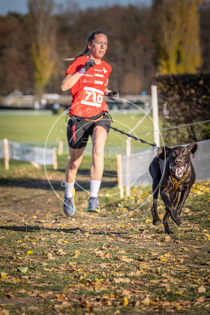 CaniXpix_DV3A1622 | Hundefotografie, Tierfotograf, Pfotenfotografie, Fotoshooting Hund, Hunde Portrait, Hundesport, Hundeportraits, Heideshooting, Hunde, Sportfotograf, Hundefotograf, Turnierhundsport, THS,  - Realisiert mit Pictrs.com