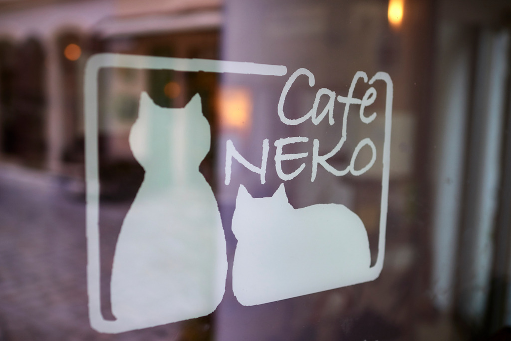 Cafe Neko | Wien, Austria - October 05, 2017: Cafe Neko-Katzencafe, Eingangstüre mit Aufschrift. - Realisiert mit Pictrs.com