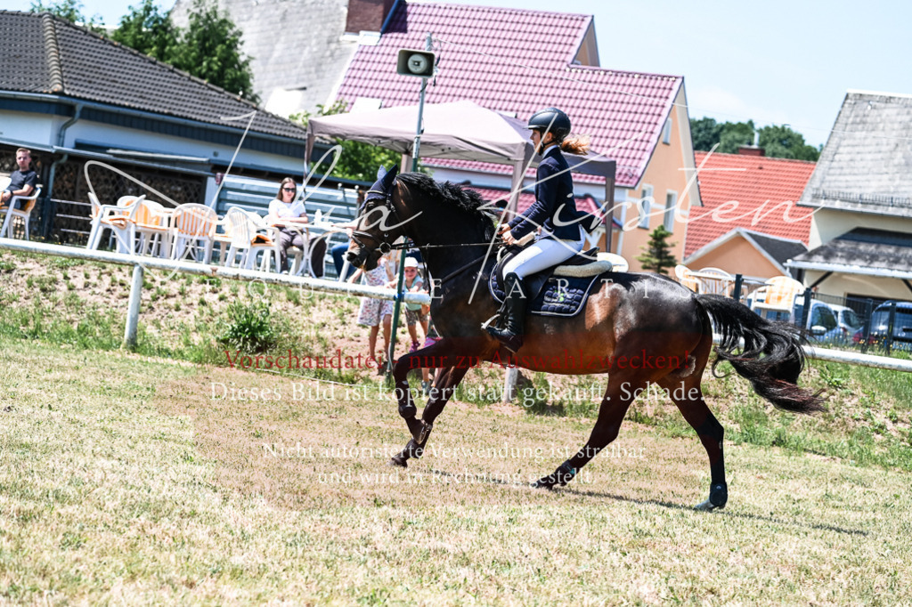 DSC_0101 | Pferde- und Turnierfotografie in Westsachsen. Pferdeportraits, Auftragszeichnungen und intuitive Kunst.