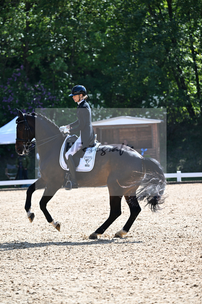 Equistro Dressurderby_26268022 | hf-fotografie - Realisiert mit Pictrs.com