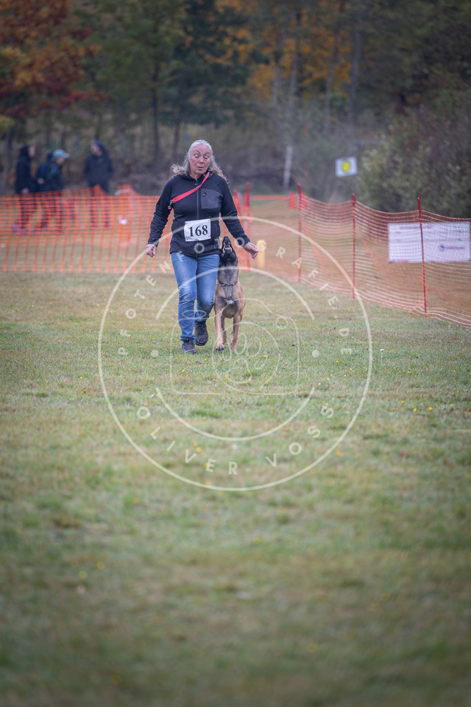 Pfotenfotografie_DV3A9012 | Hundefotografie, Tierfotograf, Pfotenfotografie, Fotoshooting Hund, Hunde Portrait, Hundesport, Hundeportraits, Heideshooting, Hunde, Sportfotograf, Hundefotograf, Turnierhundsport, THS,  - Realisiert mit Pictrs.com