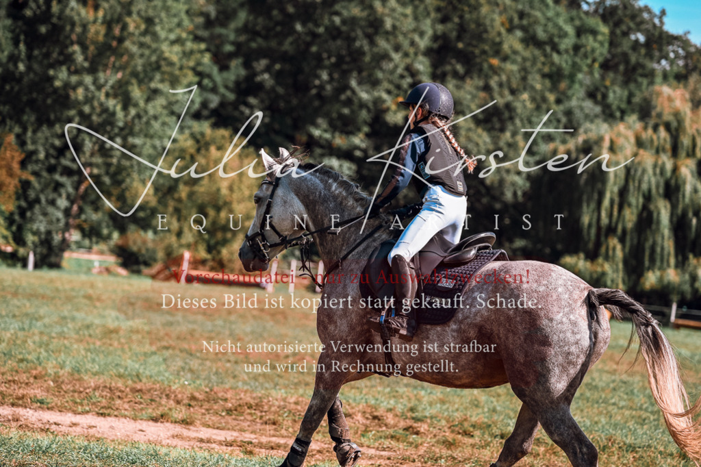 DSC_1152 | Pferde- und Turnierfotografie in Westsachsen. Pferdeportraits, Auftragszeichnungen und intuitive Kunst.