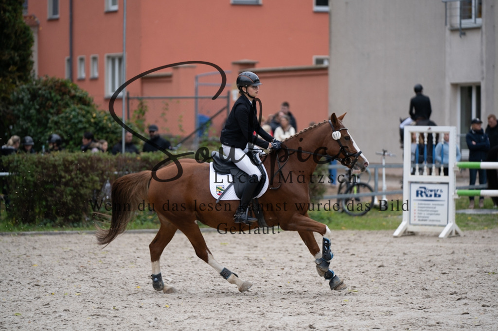 A7V08174 | Pferdefotograf