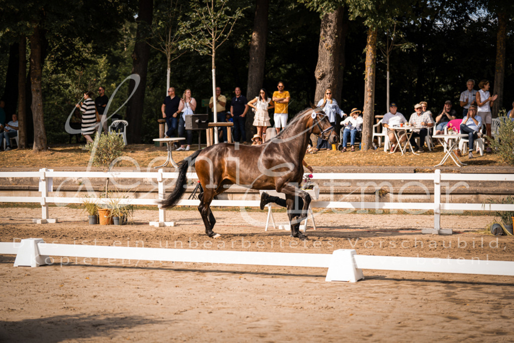 FrER00151 | Leoni Ertmer Photography - Realisiert mit Pictrs.com