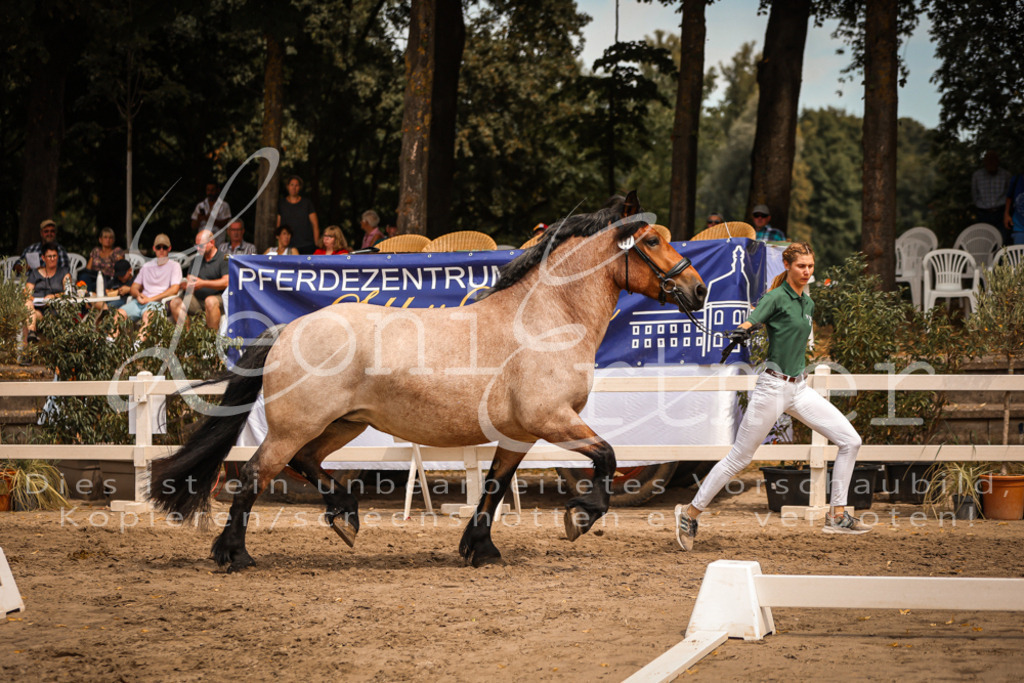 4.Sa00036 | Leoni Ertmer Photography - Realisiert mit Pictrs.com