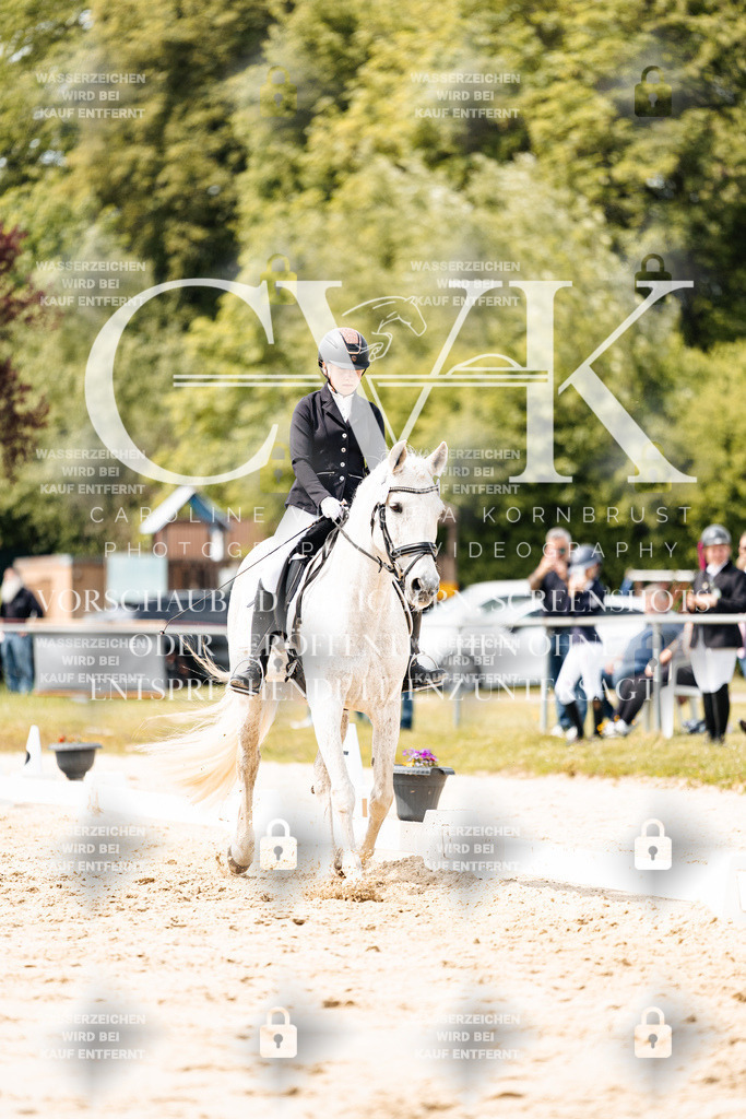CK902444 | Turnierfotografie Pferdefotografie Trier Rheinland-Pfalz Pferdesport Reitsport Tierfotografie Sportfotografie Pferdevideo Pferdevideografie Equestrianvideography equestrianphotography  - Realisiert mit Pictrs.com