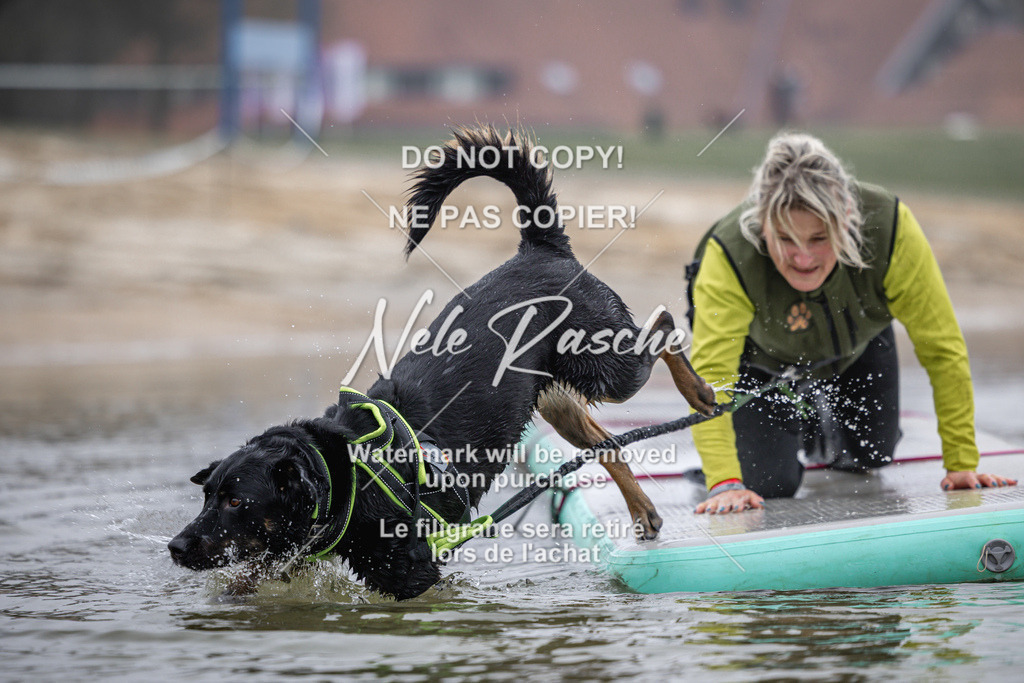 nelerasche_Hulsbeek_Sa0845-1030_113 | nelerasche